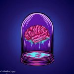 شگفتی های مغز