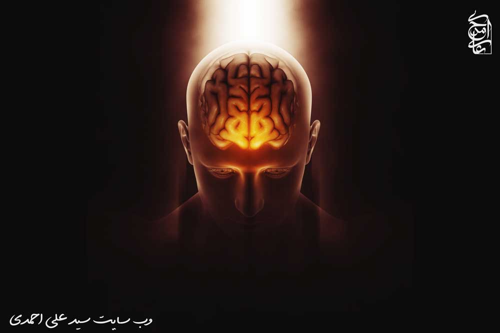 آناتومی مغز